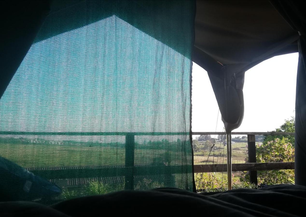 Chosen Glamping Tents Граскоп Екстериор снимка